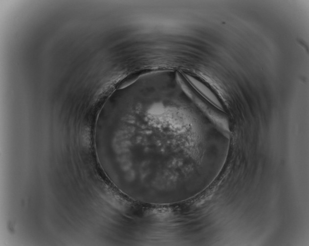 X0000091860353200709121334