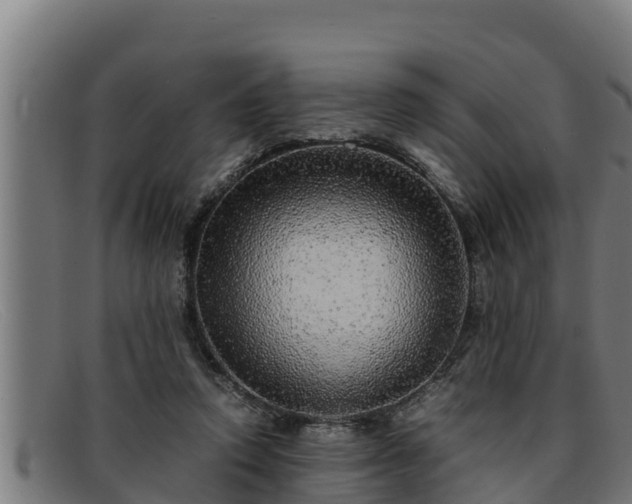 X0000091860354200709121334