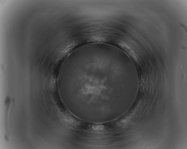 X0000091860355200709121334