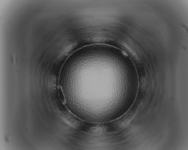 X0000091860356200709121334