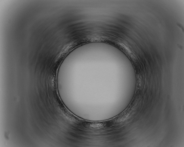 X0000091860357200709121334