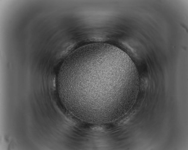 X0000091860358200709121334