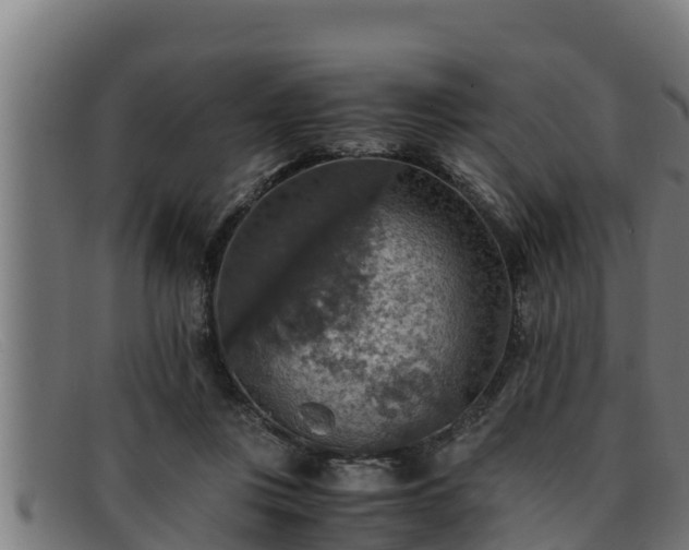 X0000091860359200709121334