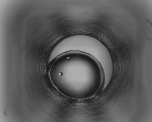 X0000091860360200709121334