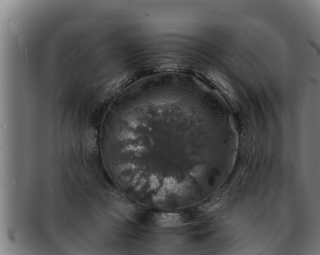 X0000091860361200709121334