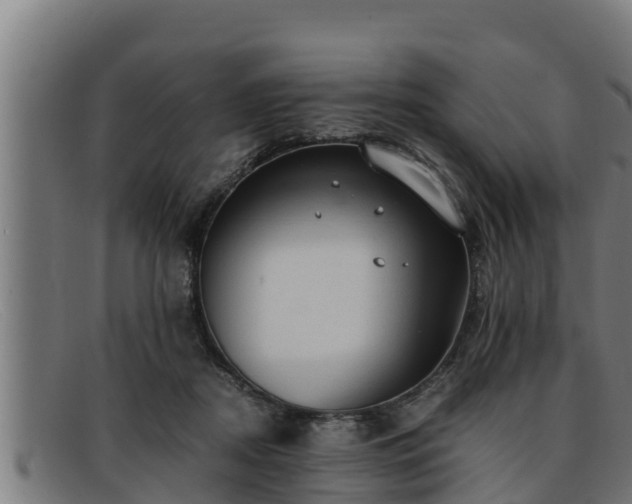 X0000091860362200709121334