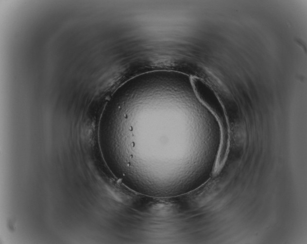 X0000091860364200709121334