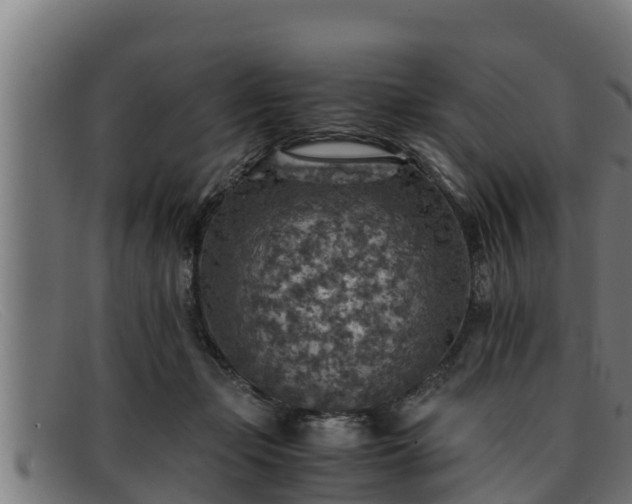 X0000091860365200709121334