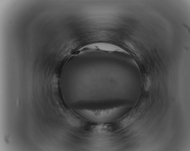 X0000091860366200709121334