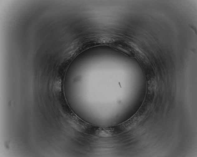 X0000091860368200709121334