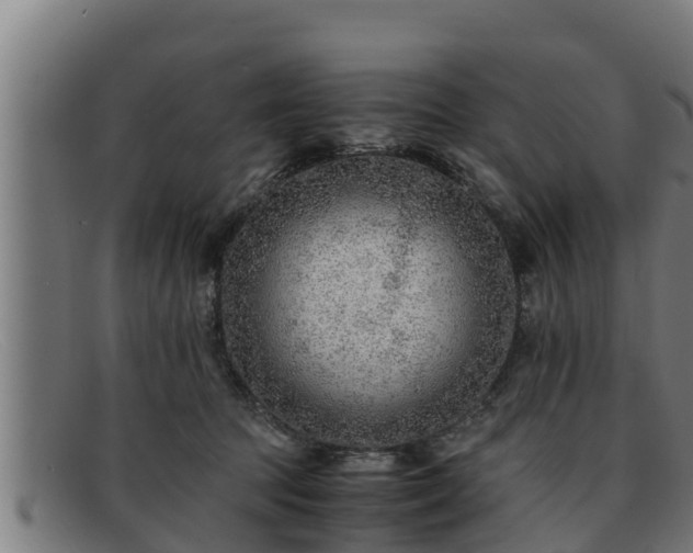 X0000091860369200709121334