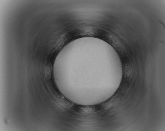 X0000091860370200709121334