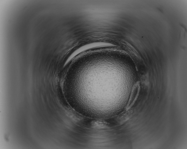 X0000091860372200709121334