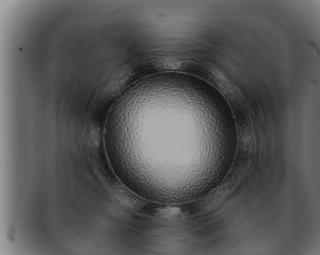 X0000091860374200709121334