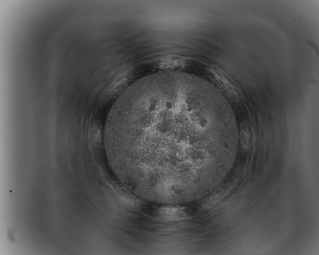 X0000091860375200709121334