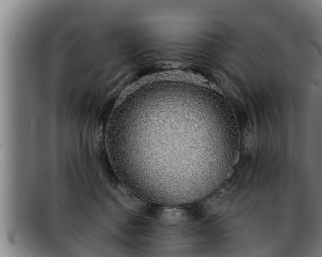 X0000091860376200709121334