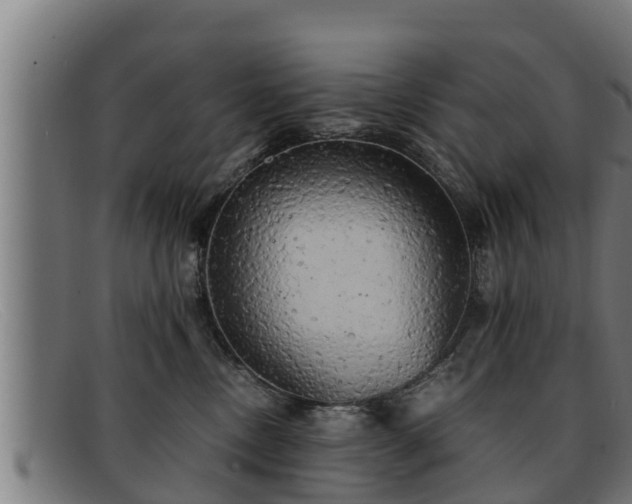 X0000091860378200709121334