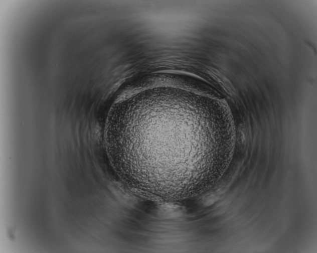 X0000091860380200709121334