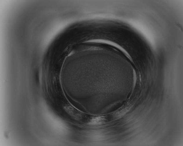 X0000091860382200709121334