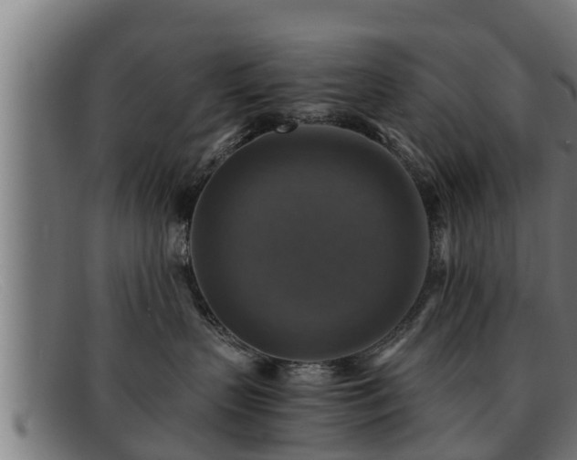 X0000091860383200709121334