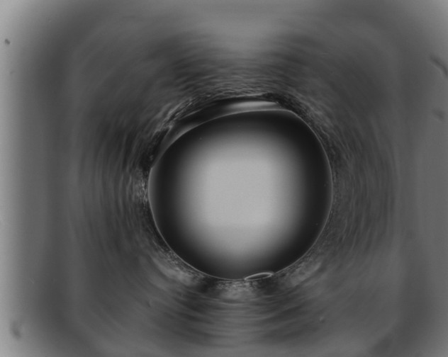 X0000091860384200709121334