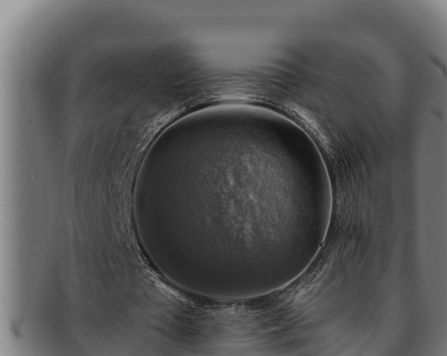 X0000091860385200709121334