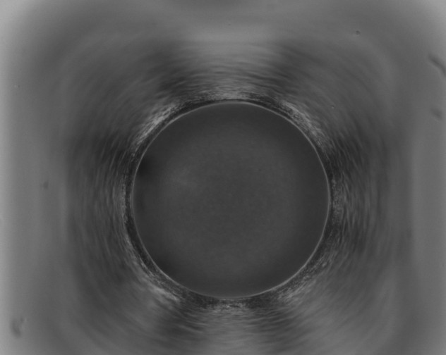 X0000091860386200709121334