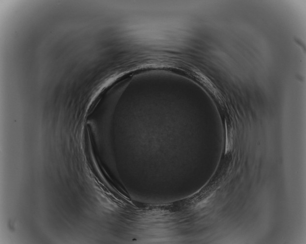 X0000091860387200709121334