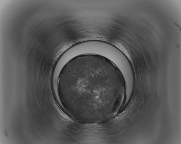 X0000091860389200709121334