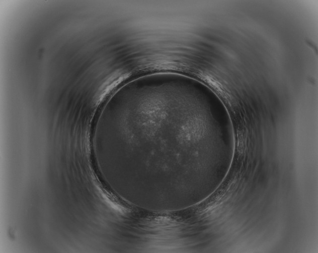 X0000091860390200709121334