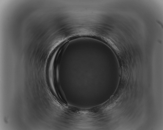 X0000091860391200709121334