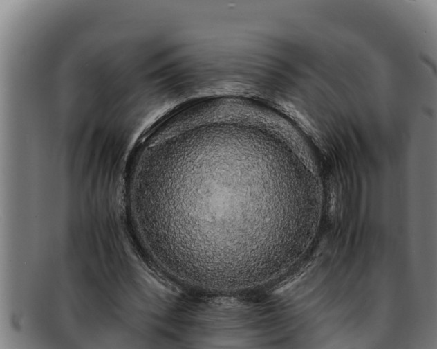 X0000091860392200709121334