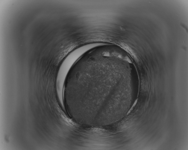 X0000091860393200709121334