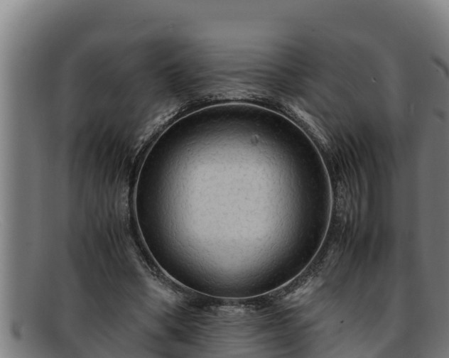 X0000091860394200709121334