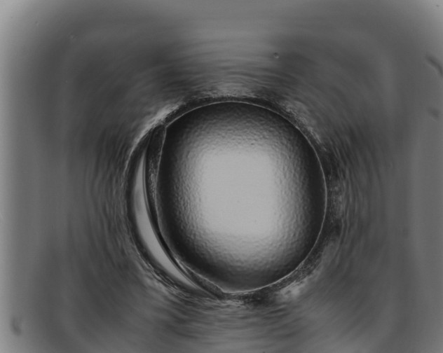 X0000091860395200709121334