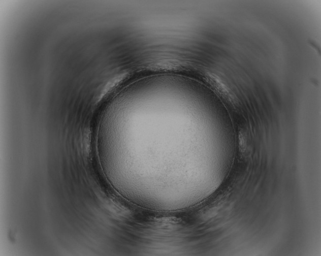 X0000091860396200709121334