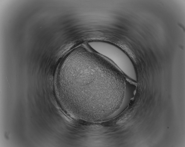 X0000091860397200709121334