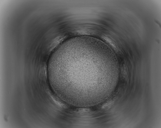 X0000091860398200709121334