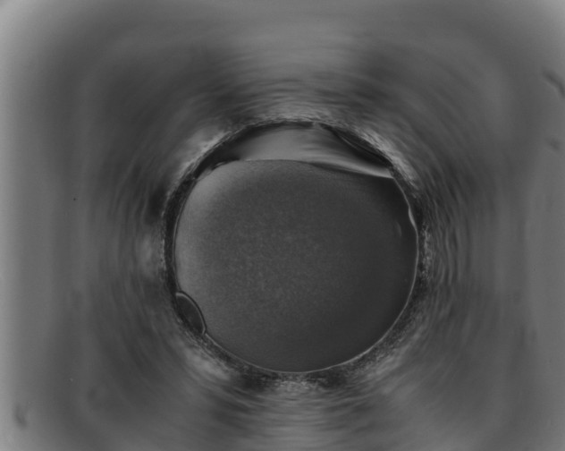 X0000091860399200709121334