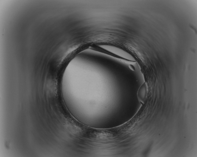 X0000091860400200709121334