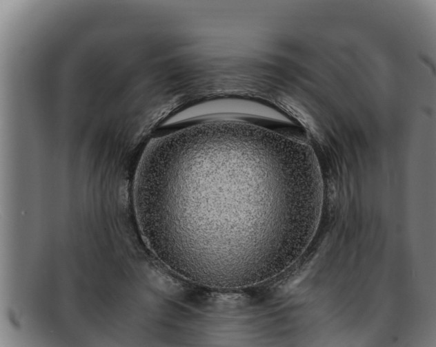 X0000091860401200709121334