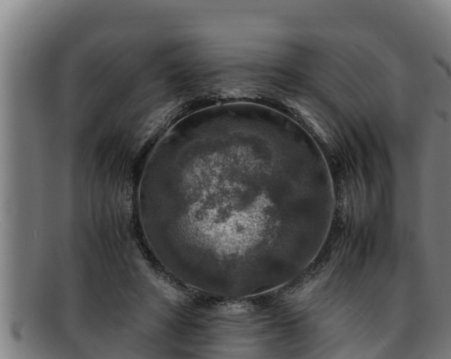 X0000091860402200709121334