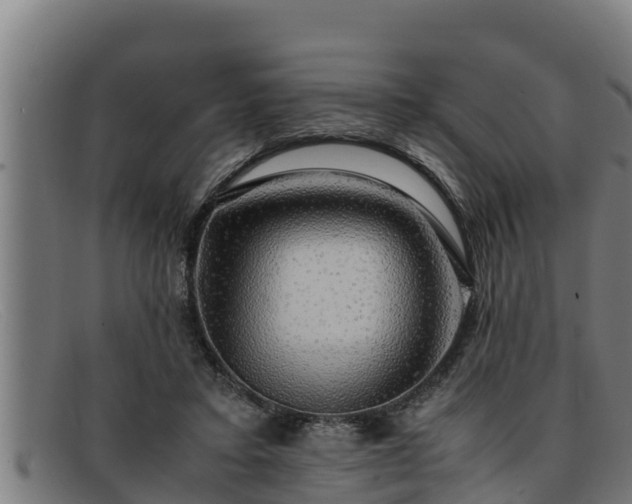 X0000091860403200709121334