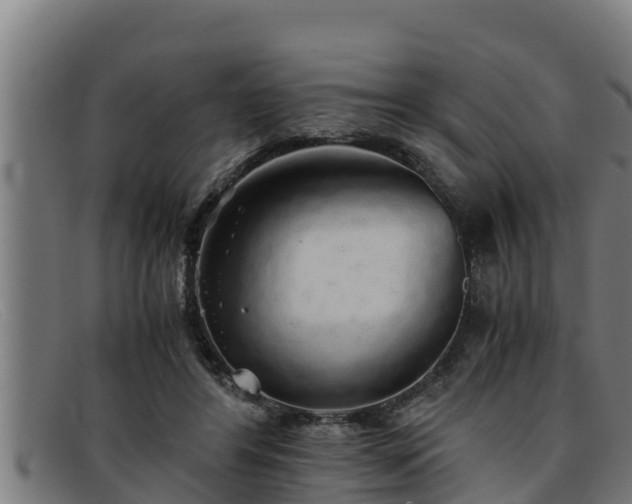 X0000091860404200709121334