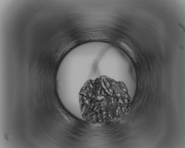 X0000091860405200709121334