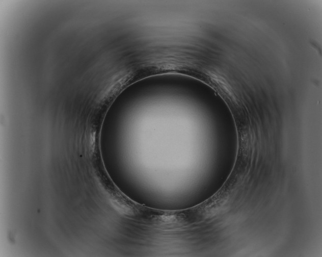 X0000091860406200709121334