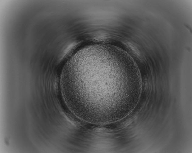 X0000091860408200709121334