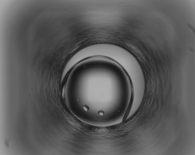 X0000091860409200709121334