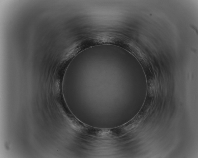 X0000091860410200709121334