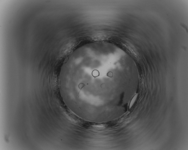 X0000091860411200709121333